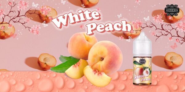 GENESIS GS DER 小油 油品