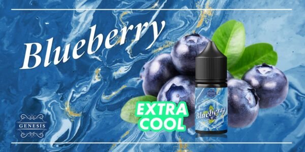 GENESIS GS DER 小油 油品